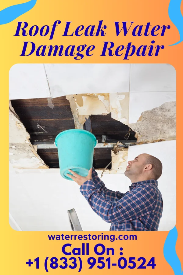 Roof Leak Water Damage Repair in Clearwater, KS