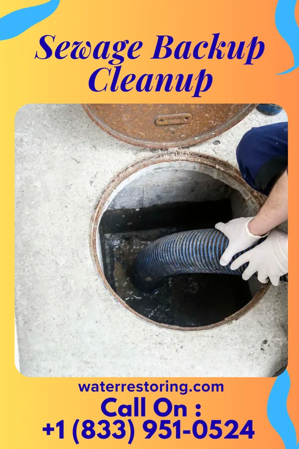 Sewage Backup Cleanup in Clearwater, KS